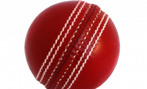 Teaching cricket in schools